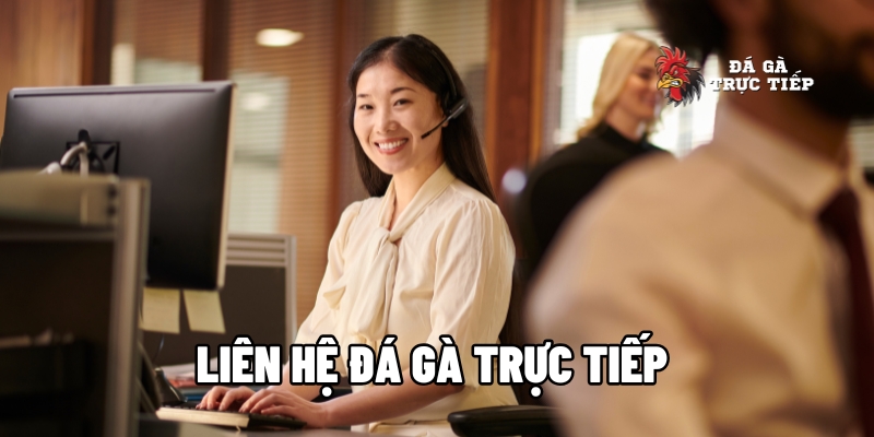 Phương Thức Liên Hệ Đá Gà Trực Tiếp Qua Các Kênh Chính Thống 1 Liên hệ đá gà trực tiếp
