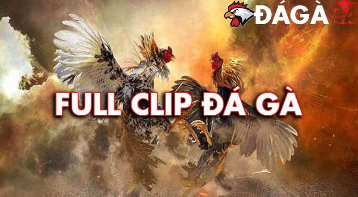 6FAE93DD 317B 4DFD AAB3 24951D5084EC 165